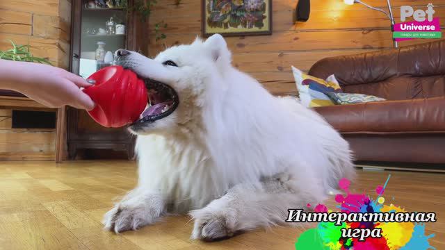 PU3034 Игрушка для собак Pet Universe мячик с ручкой со звуком с пищалкой 10 см смотреть онлайн