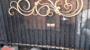 Мои верные друзья/Утро щенков