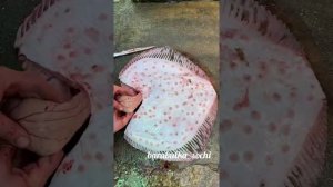 Как разделать Камбалу калкан на стейки !!! Сочи! Море! Рыбалка! Рыбалка в море!