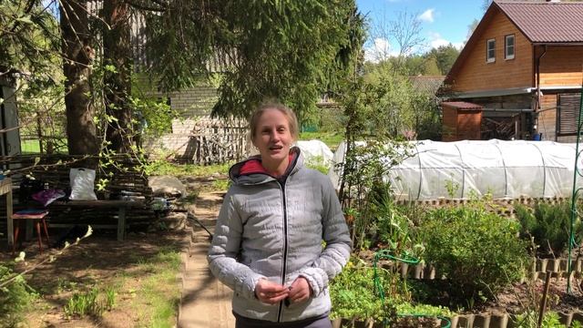 Спил деревьев Отзыв