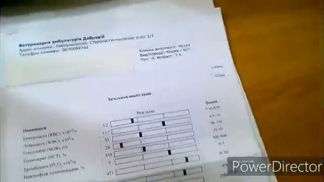 Кошка Муся заболела,чихает☹️ смотреть онлайн