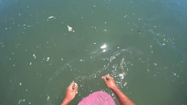 КАРАСЕВЫЙ РАЙ! Куча странного карася. Река Или, Рыбалка на поплавочную удочку, Карась, Сазан смотреть онлайн