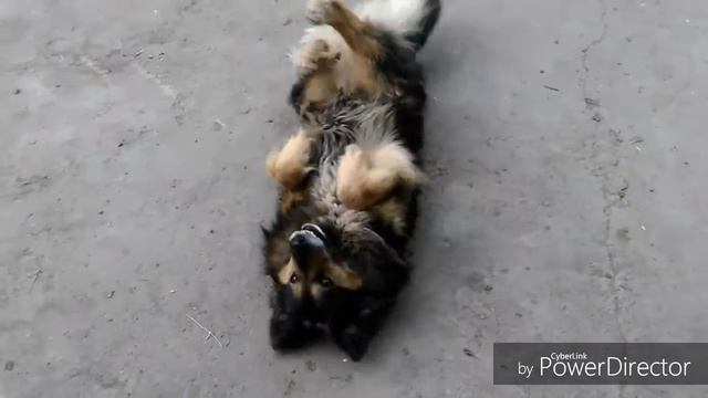 Подписчики управляют моей жизнью смотреть онлайн