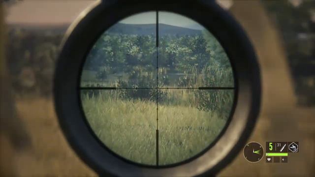 theHunter: Call of the Wild - Саванна Вурхонга. Африка. Задания ч.0,8(стрим,Ps4, (18+) смотреть онлайн