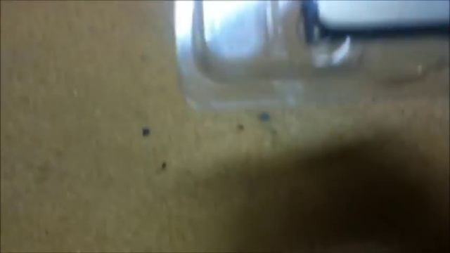 AMD Athlon II Dual-Core Processor Review смотреть онлайн