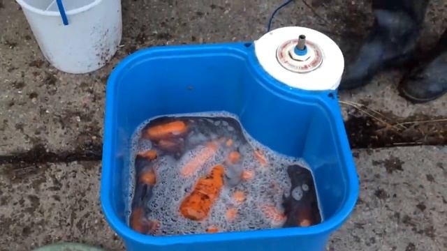 Новая жизнь старых вещей / Овощи в стиральной машине смотреть онлайн