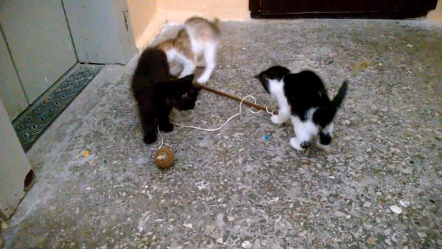 Айда на рыбалку!!! смотреть онлайн