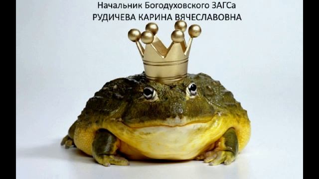 Обнаглевшая начальница Богодуховского ЗАГСа Рудичева Карина Вячеславовна смотреть онлайн
