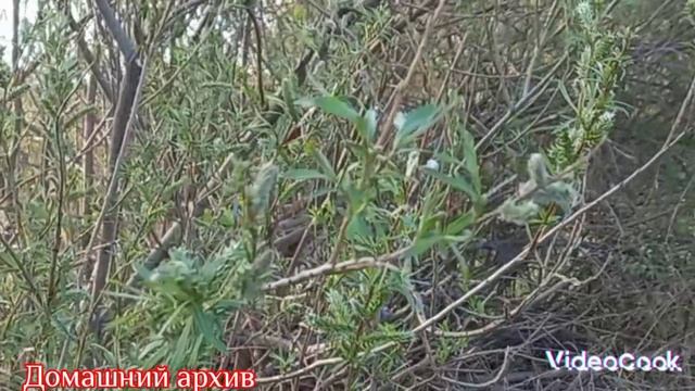 Апрель,начало мая ... смотреть онлайн