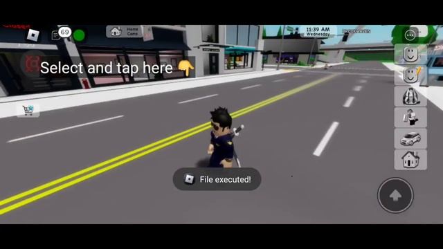 How to use Arceus X 3.0 Scripthub under 1 Minute смотреть онлайн