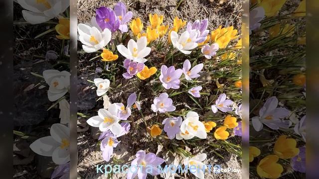 красота момента