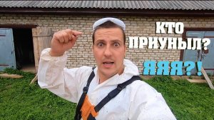 #25. Жаль не разорваться... [Жизнь на своей земле]