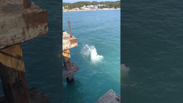 Лермонтово. Последний день на море в 2022 году смотреть онлайн