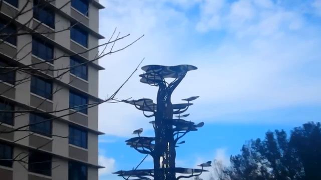 Воскресенье в центре Orlando - Колхозный рынок Farmer Market 19.01.2015 смотреть онлайн