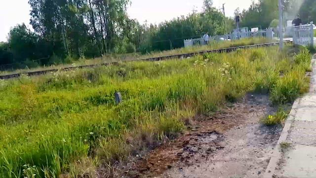 Скоростной Электропоезд Сапсан эвс1-18 и Электровоз эп20-021 с Двухэтажным поездом Поповка смотреть онлайн