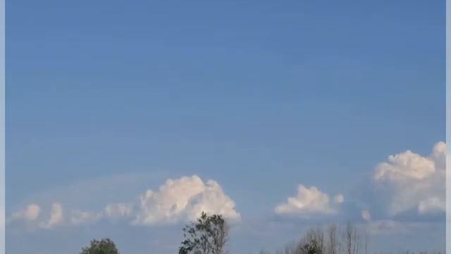 Валентина Толкунова Поле смотреть онлайн