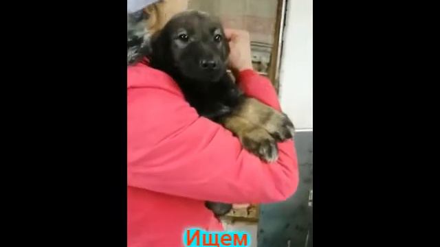 Маковки в МП г.Перми смотреть онлайн