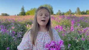 Мама, милая мама | Песня для мамы❤️ - Maya Kukhotska