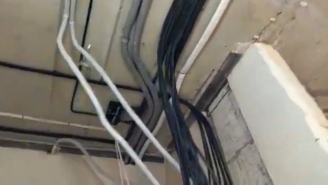 Домашний Цветочный Дизайн