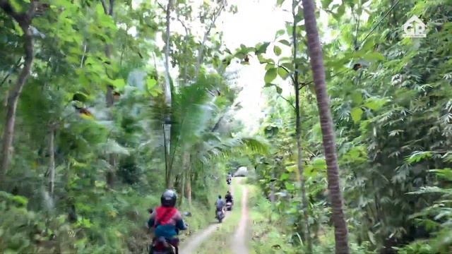 #Jaranan Angkerr!!!,KESENIAN JARAN KEPANG SENI BUDAYA PURWOREJO смотреть онлайн