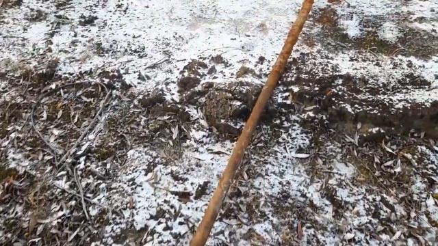 МЕТАЛЛОКОП! ПРОДОЛЖАЕМ КОПАТЬ ПОКА ПОЗВОЛЯЕТ ПОГОДА смотреть онлайн