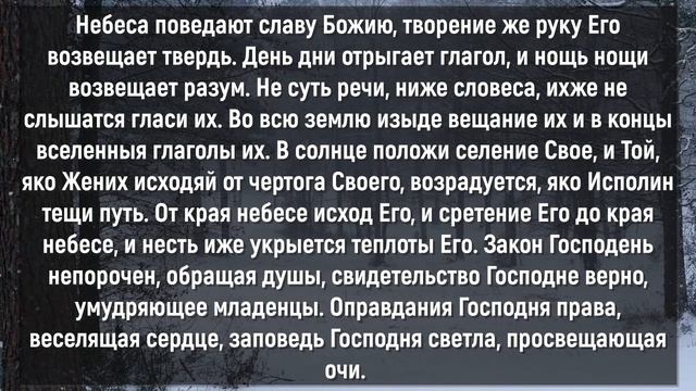 НЕ ПРОПУСТИ 1 ДЕКАБРЯ! Сильнейшая ЗАЩИТА НА ВЕСЬ ДЕКАБРЬ! смотреть онлайн