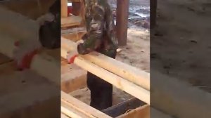 Ленточные китайские пилорамы