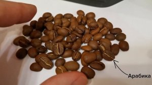Робуста и арабика: в чём отличия и всегда ли хороша 100% арабика? [Частые вопросы]