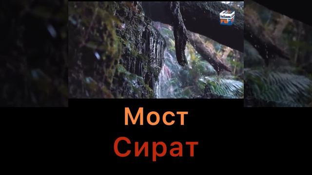 Мост Сират Барзах Ахират Рай Ад #ислам #коран смотреть онлайн