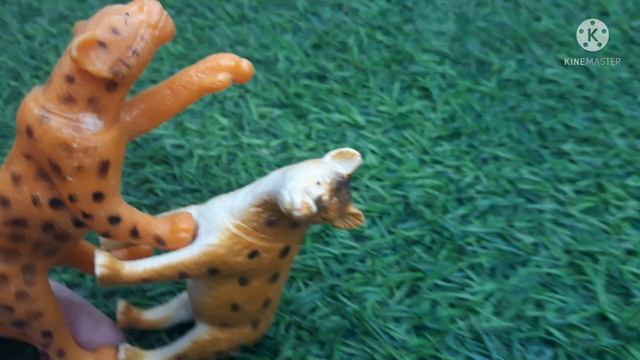 AFRICAN LEOPARD VS SPOTTED HYENA (animal battle part 36) смотреть онлайн