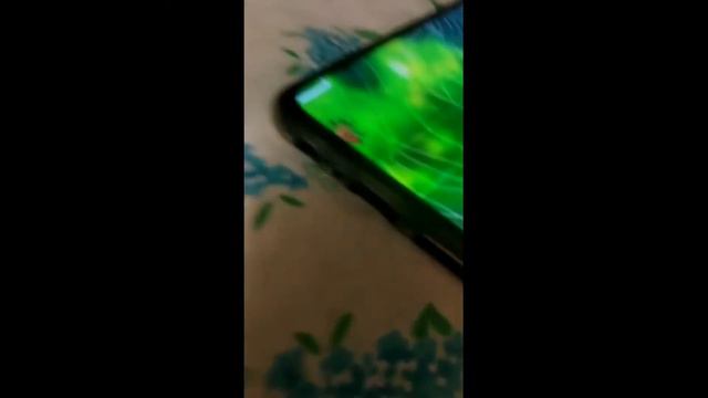 Котэ свинкс играет в телефон смотреть онлайн