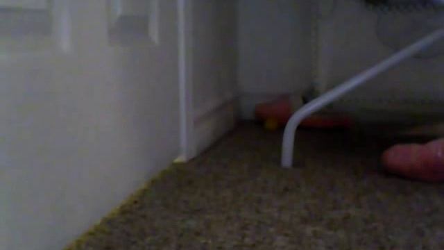 Me Annoying My Brother While He Is Taking A Dump смотреть онлайн