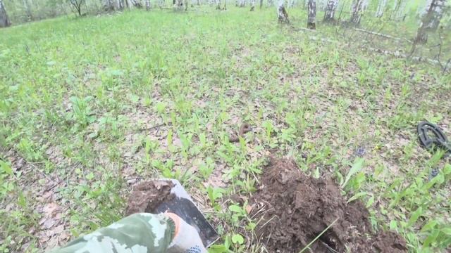 Металлокоп: проверяю старую дорогу.Что можно найти в лесу? смотреть онлайн