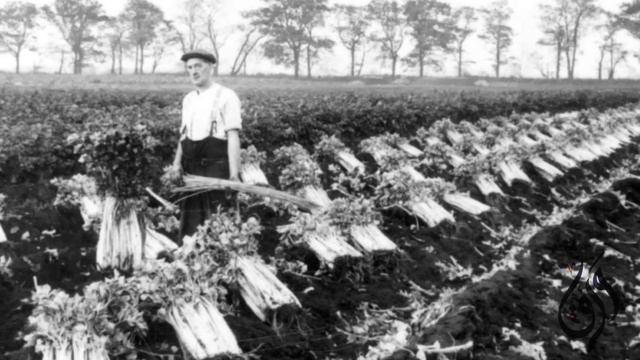 التاريخ الكامل لكوبا من العصور القديمة للعصر الحديث смотреть онлайн