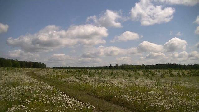 Природа. Timelapse съёмка. смотреть онлайн