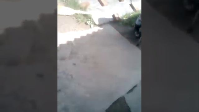 Умышленно смотреть онлайн