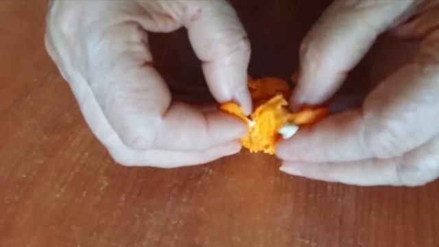 Момордика смотреть онлайн