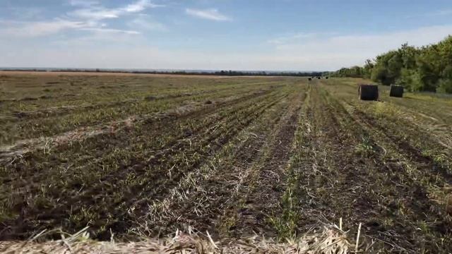 Сенокос 2020! Суданская трава. смотреть онлайн