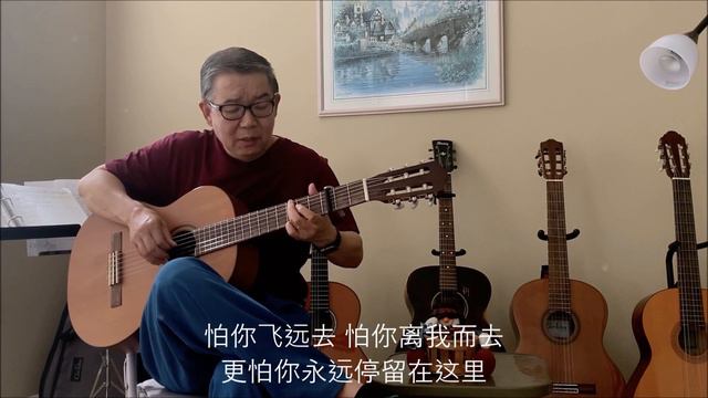 【大鱼 】（动画电影《大鱼海棠》印象曲）- 老何翻唱 смотреть онлайн