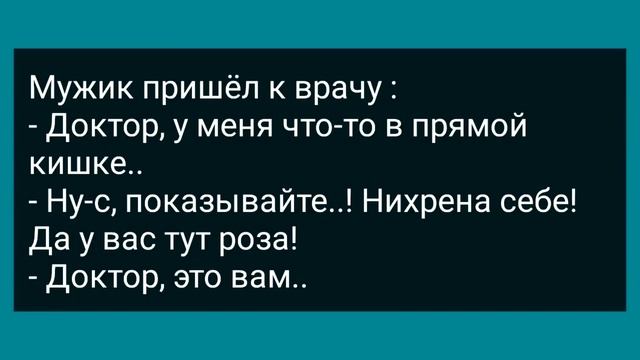 Жена в Африке Сняла Трусы и Начала Кричать! Сборник Свежих Анекдотов! Юмор! смотреть онлайн