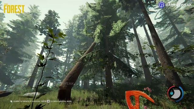 Sons Of The Forest (2023) Vs The Forest (2018) Comparison: Differences In Detail, Graphics, Gamepla смотреть онлайн