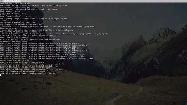 % sudo apt-get install python-sponge смотреть онлайн