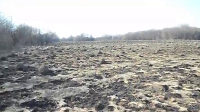 Муравьиная империя смотреть онлайн