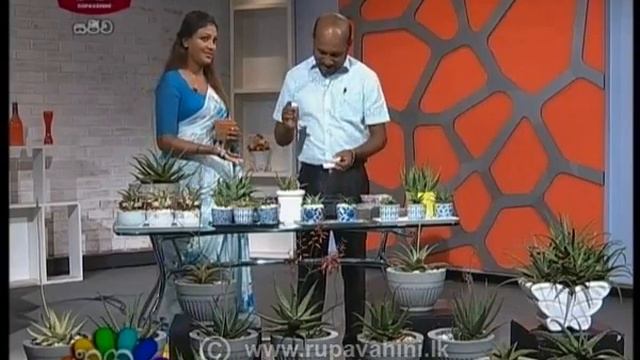 Nugasewana Plant 2019-10-22 | Rupavahini