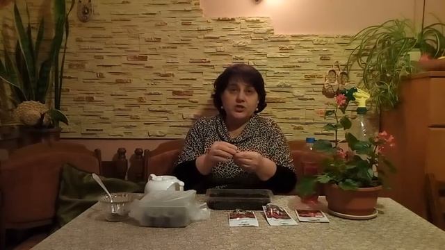 Посев бегонии в грунт и торфянные таблетки. смотреть онлайн