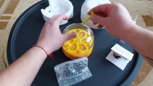 Инкубатор на 6 яиц с AliExpress