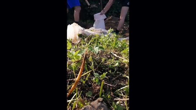 Осваиваем целину | Покупаем трубы для забора | Благоустройство заброшенного участка смотреть онлайн