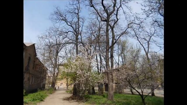 АЛЧЕВСК ,АПРЕЛЬ 2013..(ДИСКО -80- Х...)) смотреть онлайн