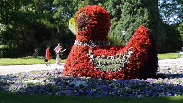 прекрасная музыка и цветы смотреть онлайн