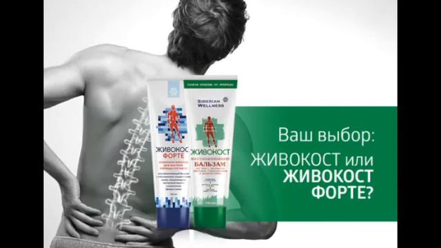 Встречайте: новый "ЖИВОКОСТ"! смотреть онлайн